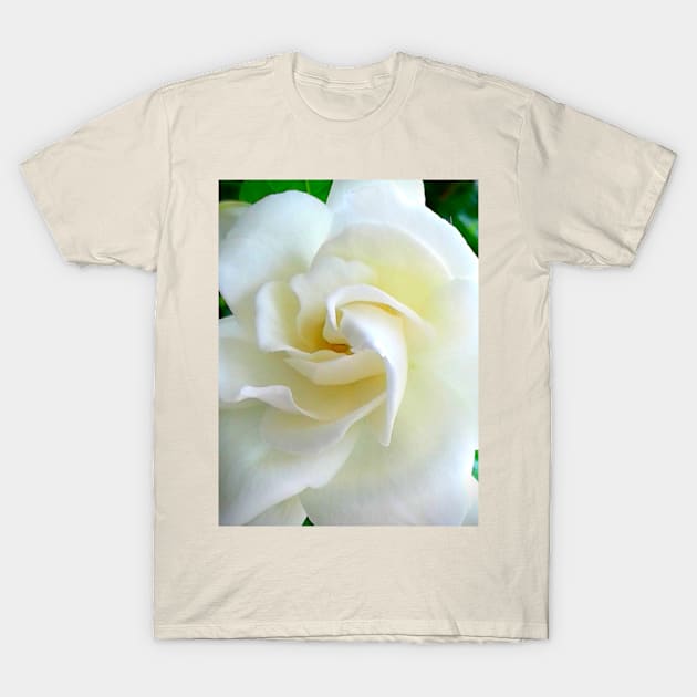 White Flower T-Shirt by Raiza